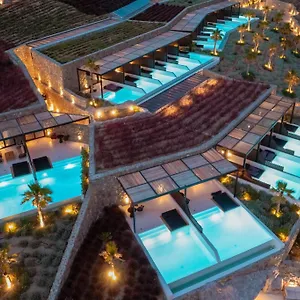 https://ftelia-black-villas.hotels-in-mykonosisland.net